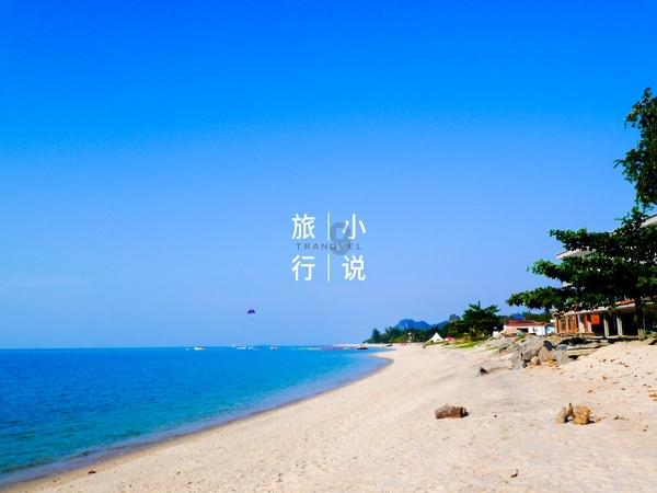春雨直播app