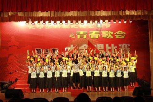 探寻问题答案,mySQL创建好表后怎么返回代码?为您解疑答惑